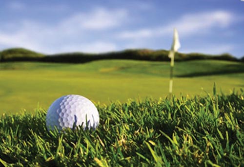 Vineyard Golf Course