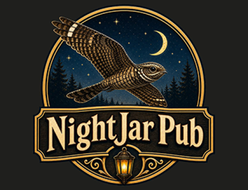 NightJar Pub